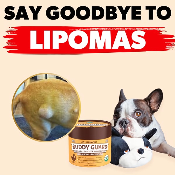 This ad features a direct, problem-solution creative approach for a pet supplement, using a visual before-and-after style to highlight the product's benefits.